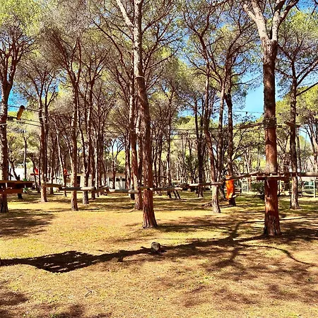 Pineta Sopra Il Mare Holiday home *