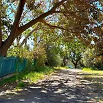 Pineta Sopra Il Mare - Walk To The