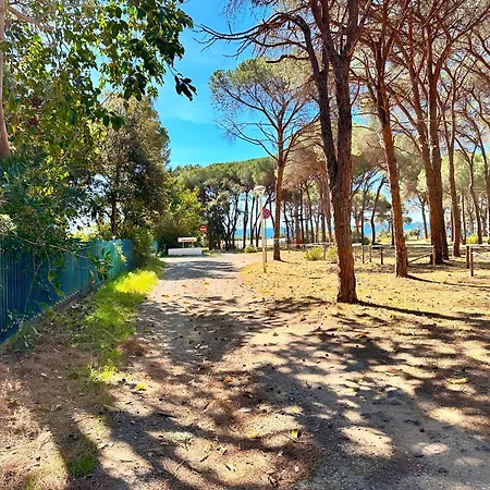 Pineta Sopra Il Mare - Walk To The Holiday home Santa Margherita di Pula