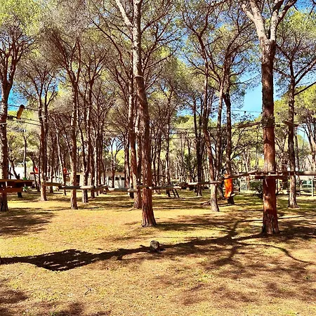 Pineta Sopra Il Mare - Walk To The Holiday home *