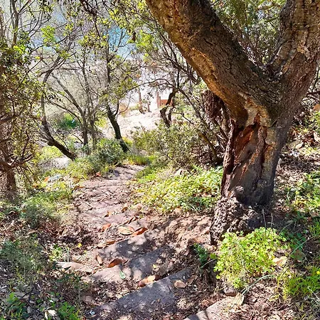 Pineta Sopra Il Mare - Walk To The Holiday home Santa Margherita di Pula